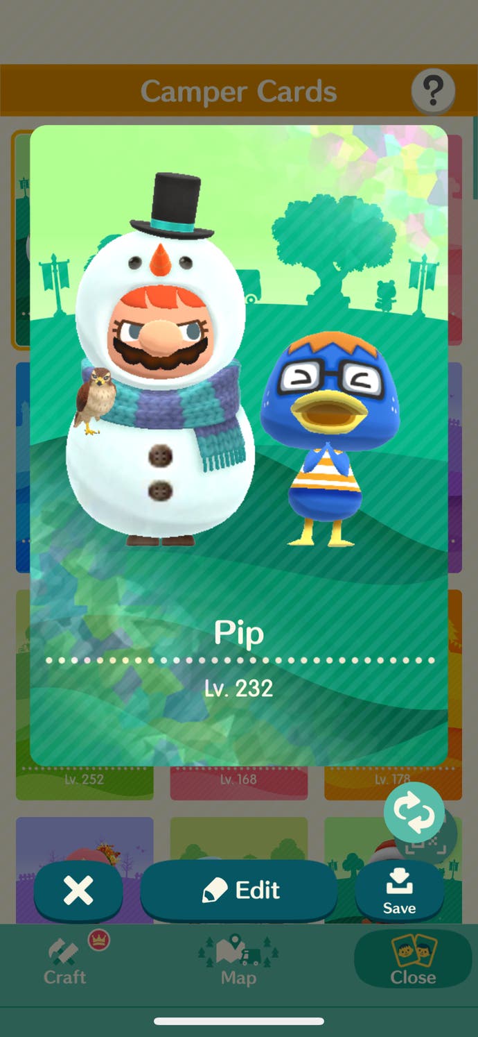 Animal Crossing: Pocket Camp Complete screenshot of a grumpy player in a snowman costume standing next to Derwin the duck on their Friend Card image.