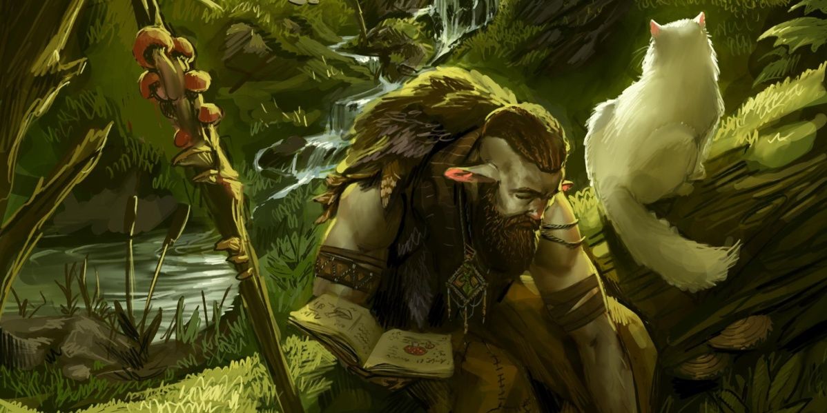 Firbolg sitting on a log with a cat from Dungeons & Dragons.