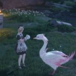 How To Catch And Groom Swans In Infinity Nikki