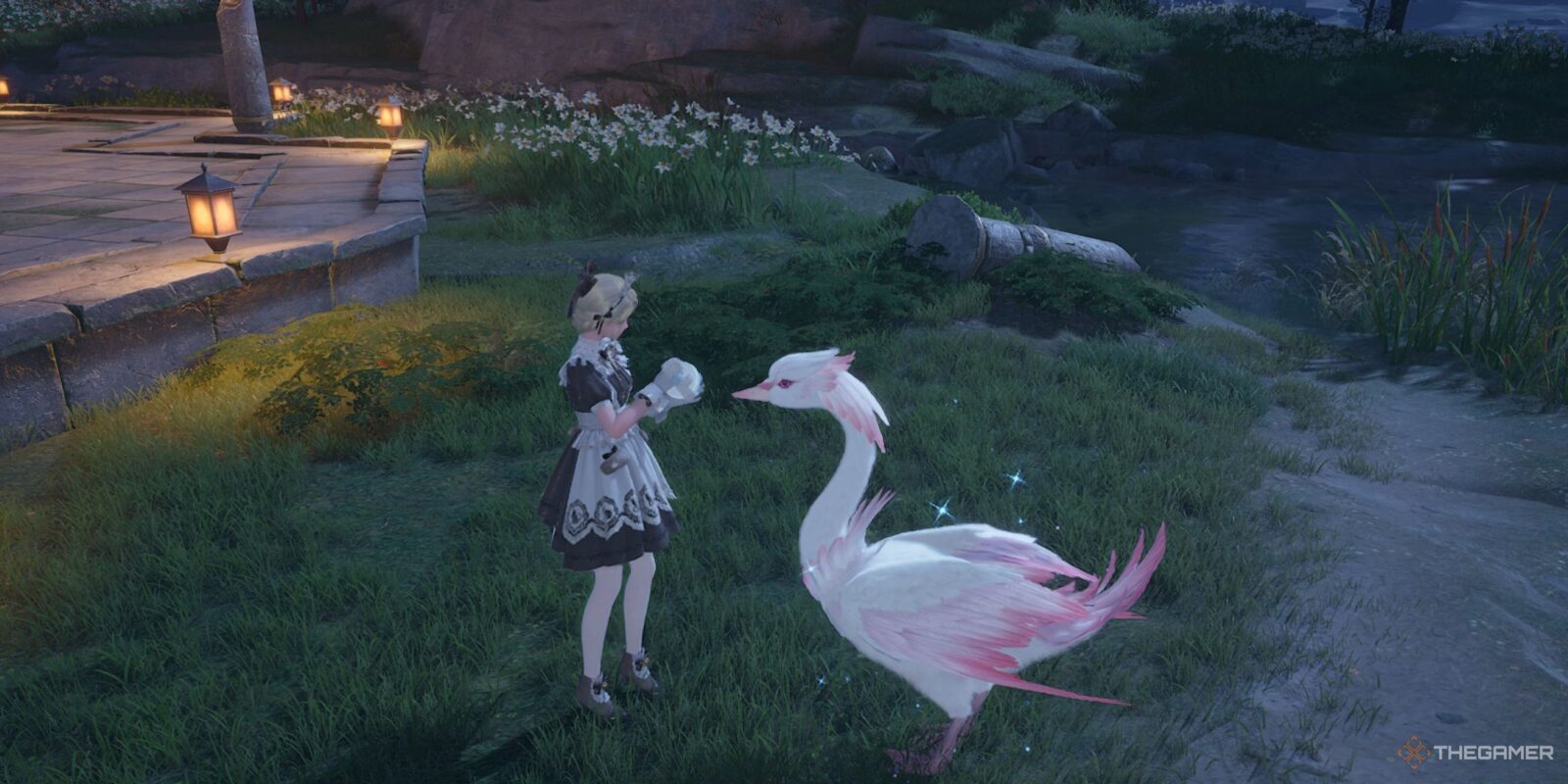 How To Catch And Groom Swans In Infinity Nikki