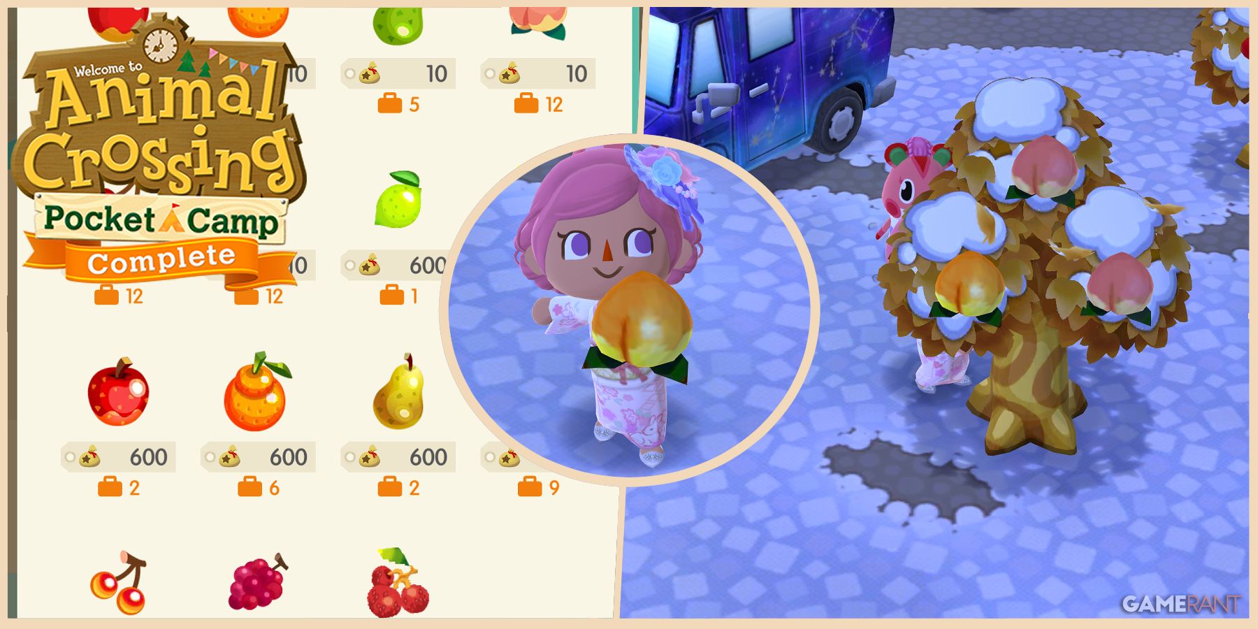 animal crossing pocket camp complete what to do with perfect fruit feature image