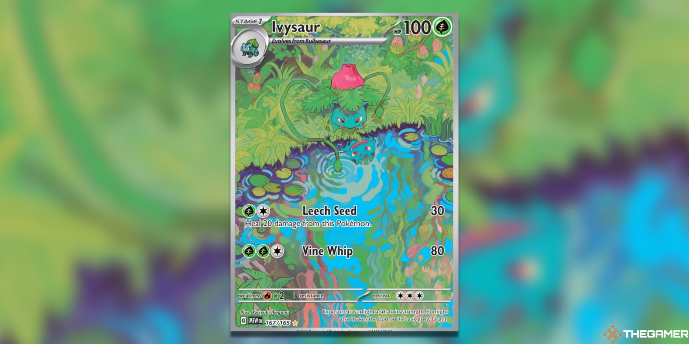 The 151 Ivysaur Illustration Rare from the Pokemon TCG.