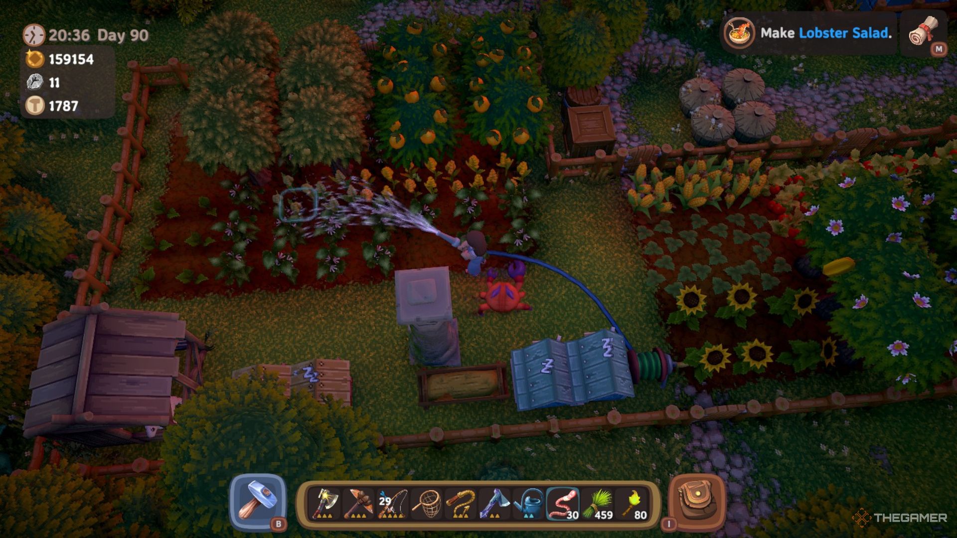 Player character using a Garden Hose to water a field of crops in Luma Island.