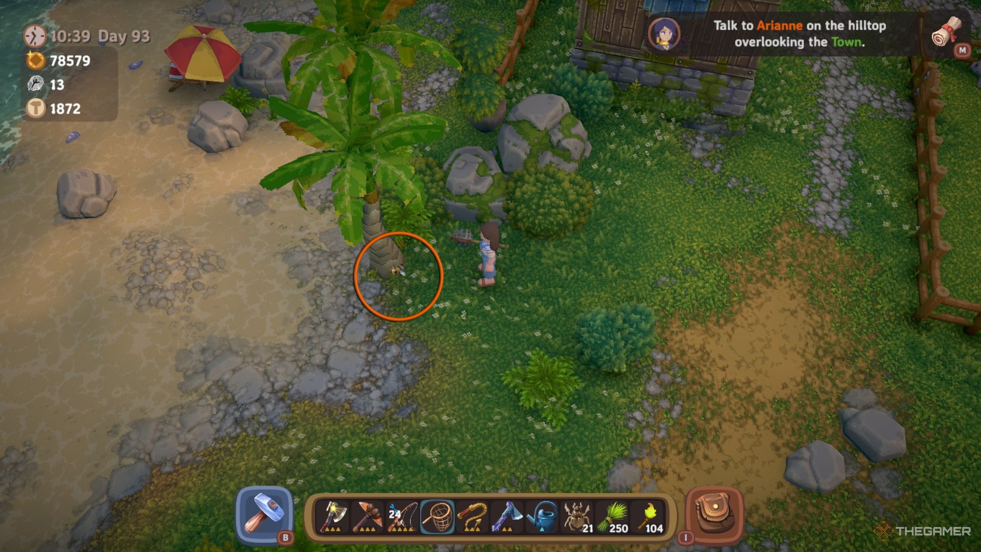 Player character standing near a Queen Bee flying near the beach and it has an orange circle edited onto where it is in Luma Island.