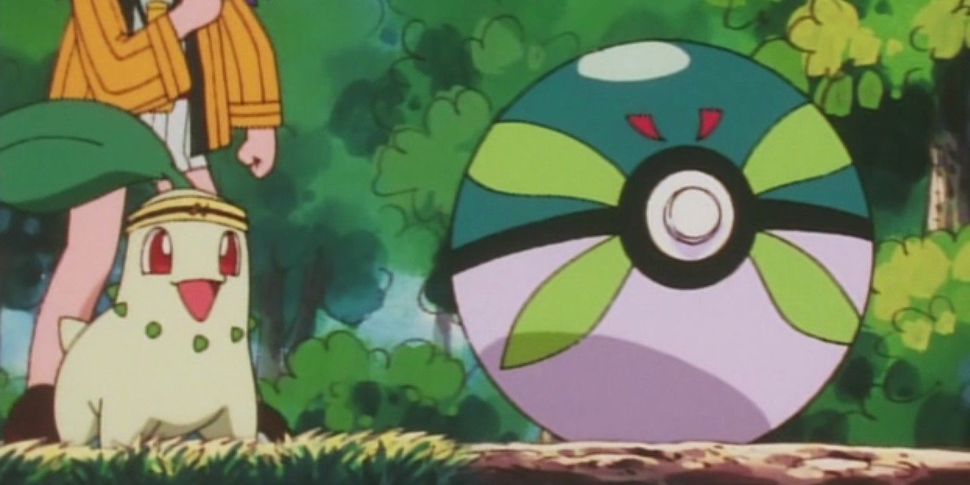 A Chikorita staring at a Sport Ball in the Pokemon anime.