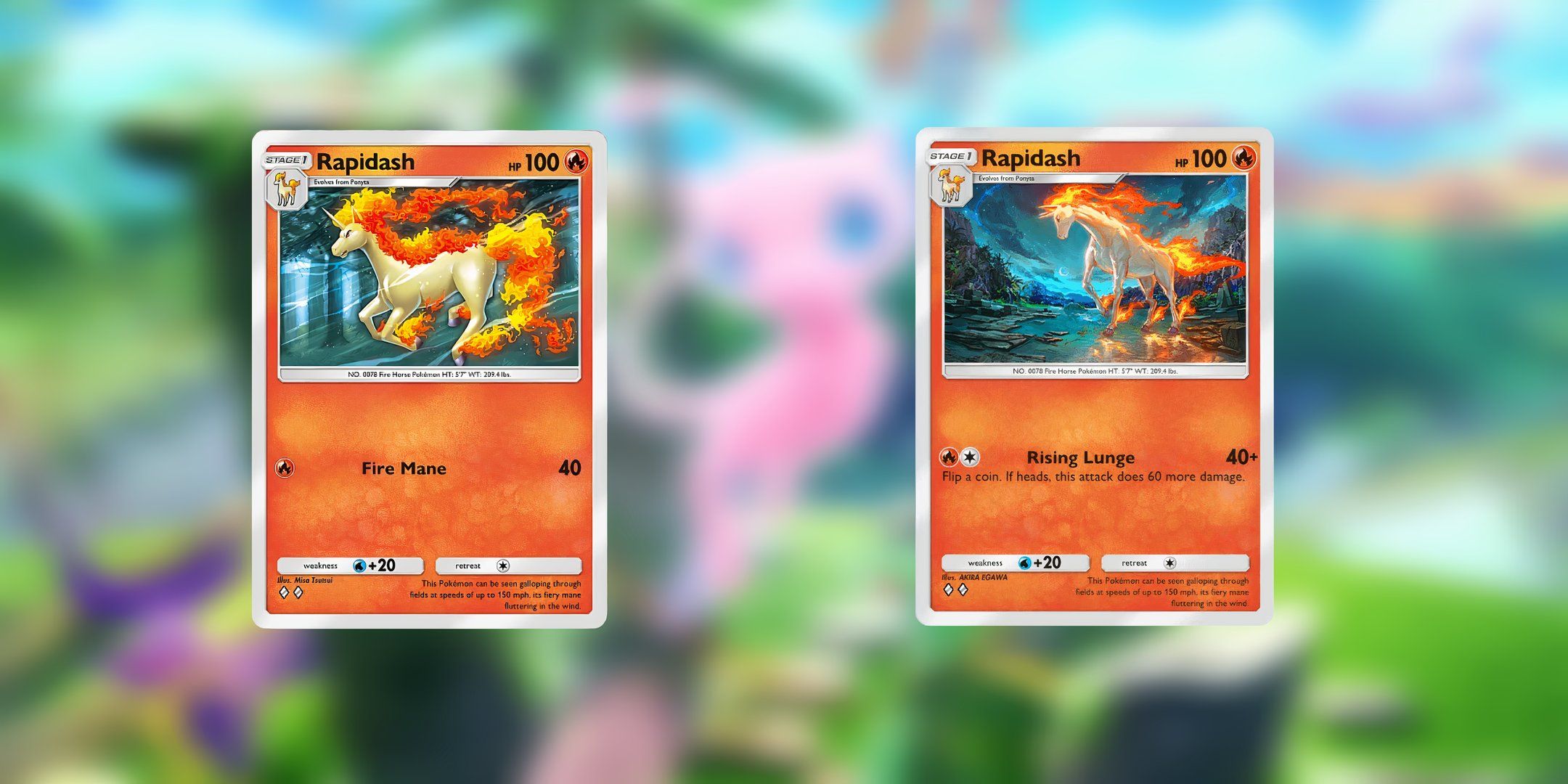 rapidash v rapidash-1