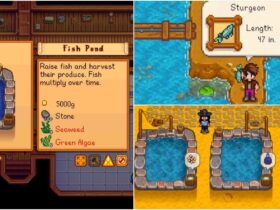 Complete Guide To Fish Ponds