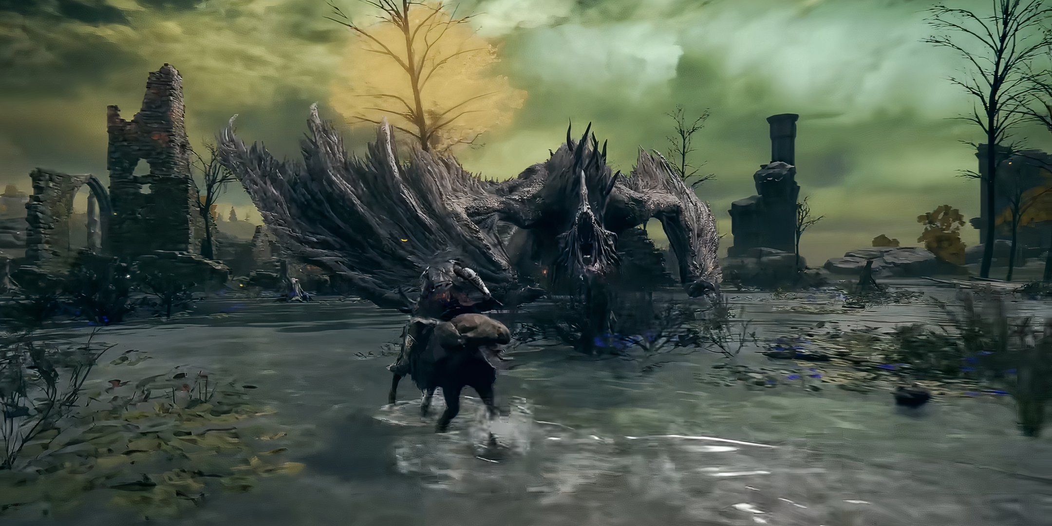 Screenshot of the first Dragon Boss fight in Elden Ring.