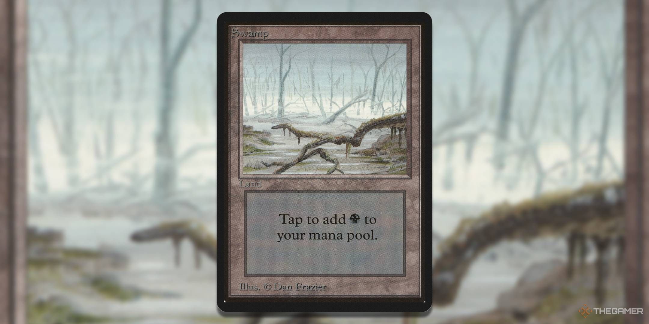 MTG LEB 294 Swamp card with art in the background.