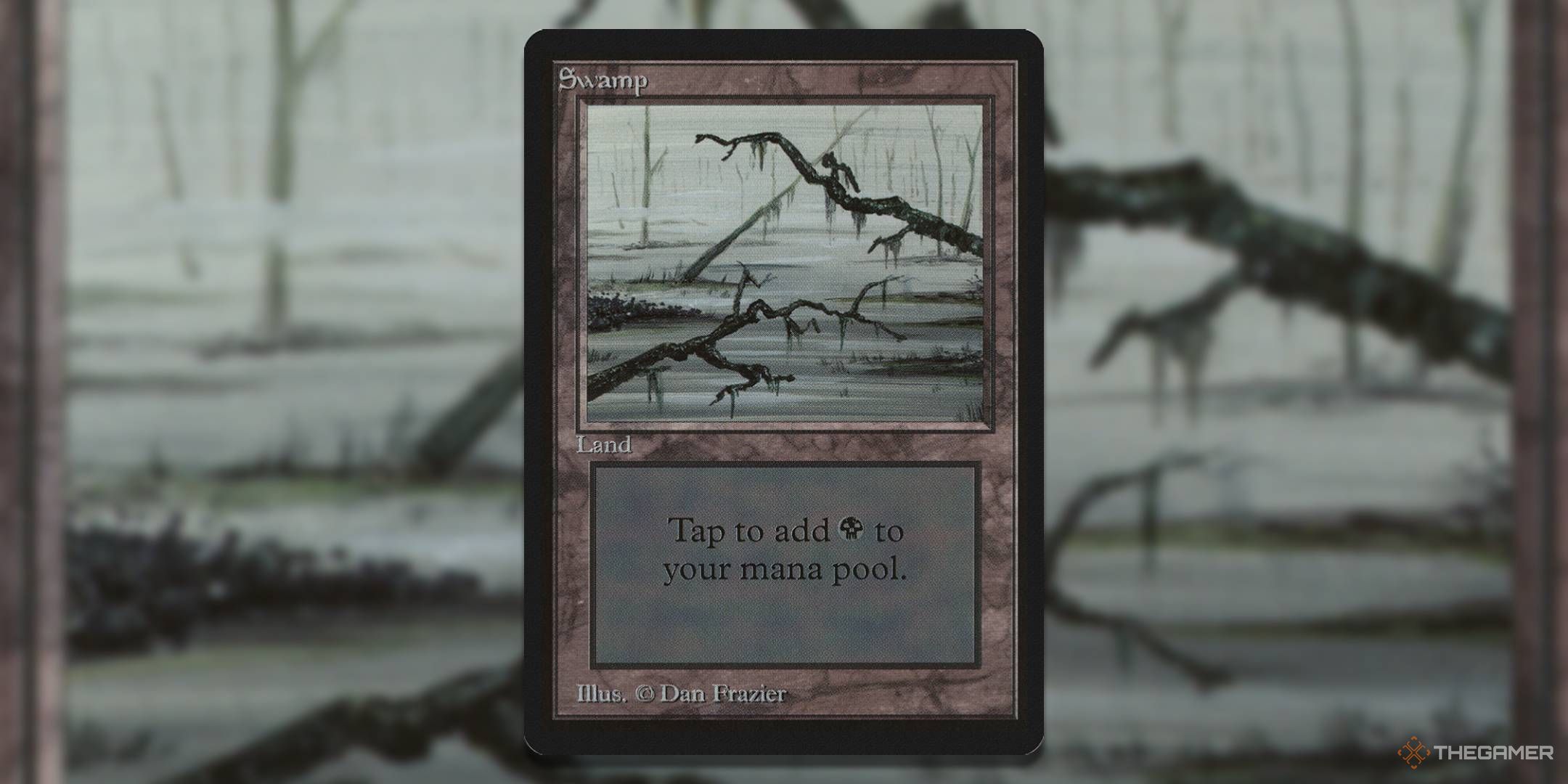 MTG LEB 296 Swamp card with art in the background.