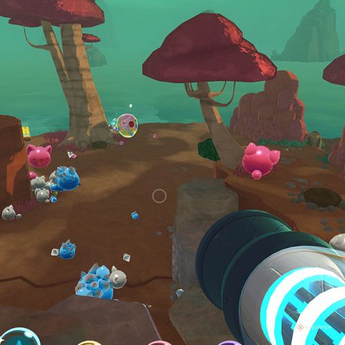 The player finds the Chime Slime that appears on December 19th in Slime Rancher