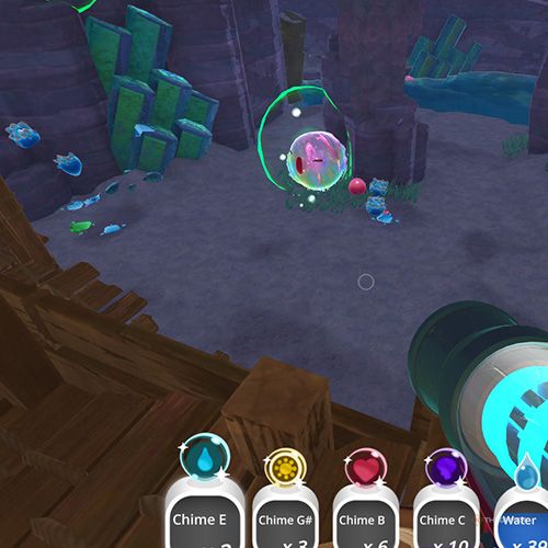 The player finds the Chime Slime that appears on December 20th in Slime Rancher