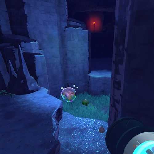 The player finds the Chime Slime that appears on December 23rd in Slime Rancher