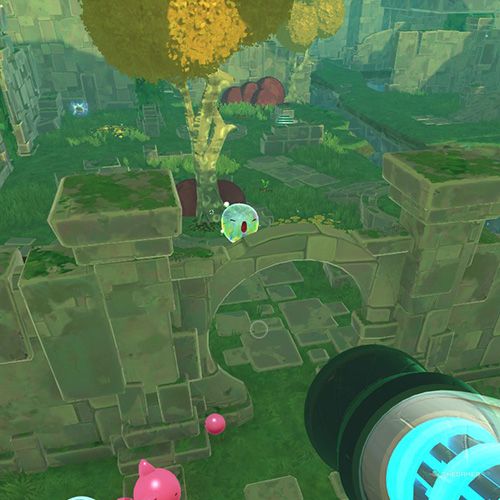 The player finds the Chime Slime that appears on December 25th in Slime Rancher