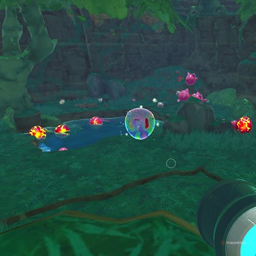 The player finds the Chime Slime that appears on December 26rd in Slime Rancher