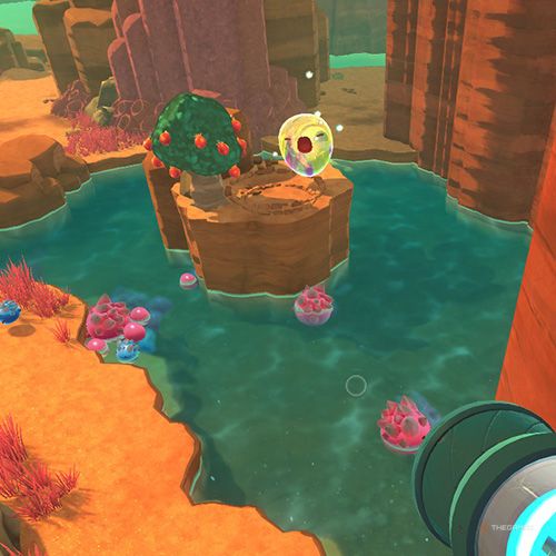 The player finds the Chime Slime that appears on December 27th in Slime Rancher