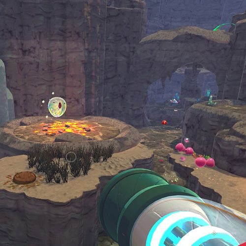 The player finds the Chime Slime that appears on December 29th in Slime Rancher