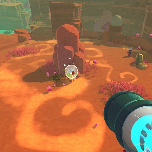 The player finds the Chime Slime that appears on December 30th in Slime Rancher