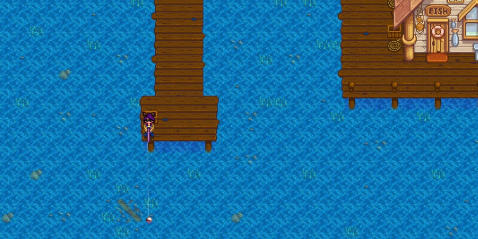 Most Difficult Fish To Catch In Stardew Valley