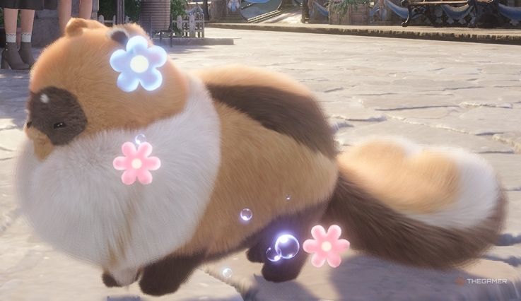 Bibcoon cat in Infinity Nikki