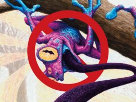 Psychic Frog Legacy Ban In MTG, Explained