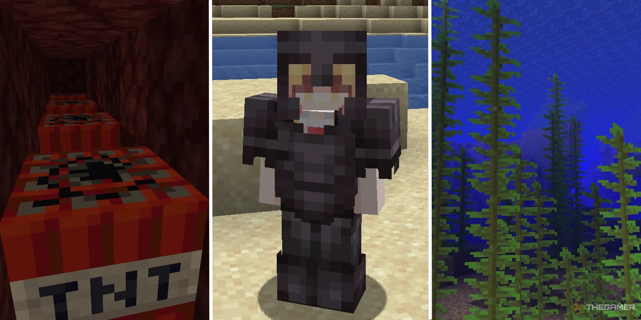 minecraft image of tnt, player in netherite armor, and kelp growing in ocean