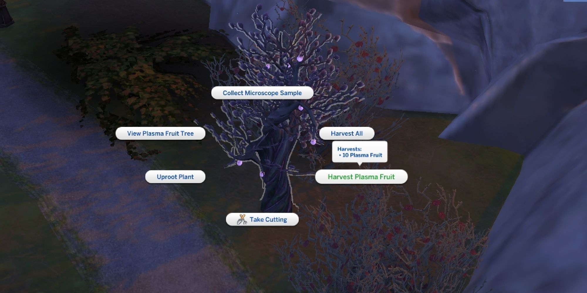 A Sim harvesting wild plasma fruit from tree.