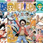 The Best One Piece Manga Covers