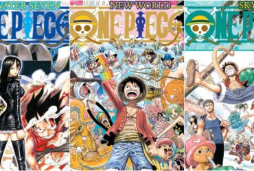 The Best One Piece Manga Covers