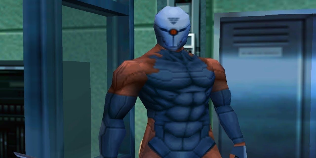 gray fox 