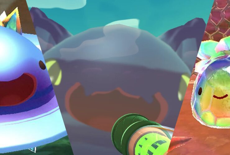 Best Largo Slime Combinations In Slime Rancher