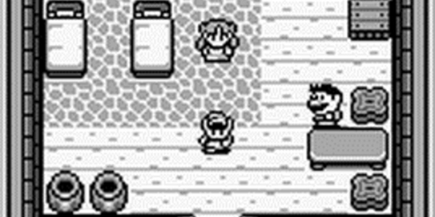 Link standing around in a shop in The Legend of Zelda: Link's Awakening.