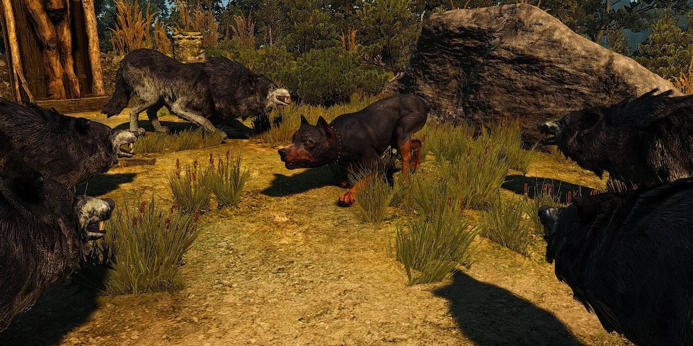 witcher 3 secret quest a dogs life