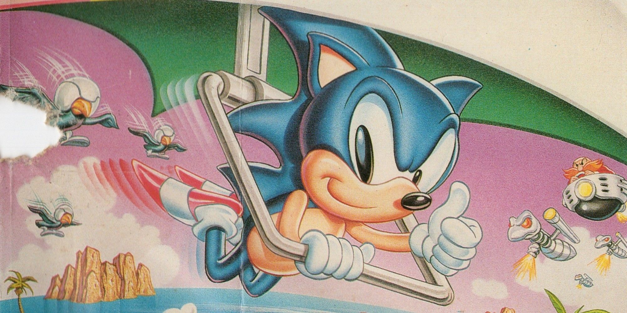 Sonic on a hang-glider giving the thumbs up.