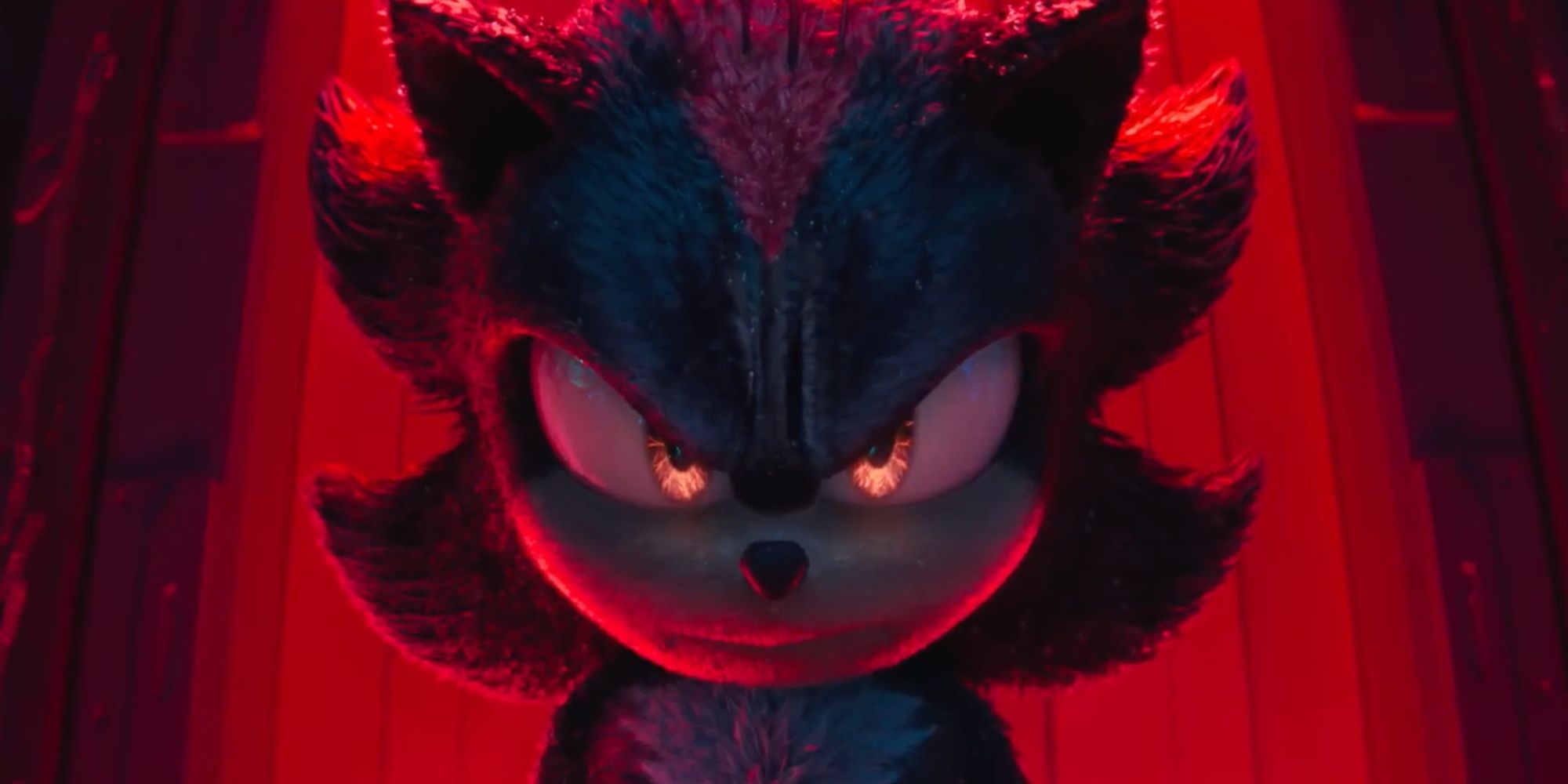 Shadow in Sonic the Hedgehog 3