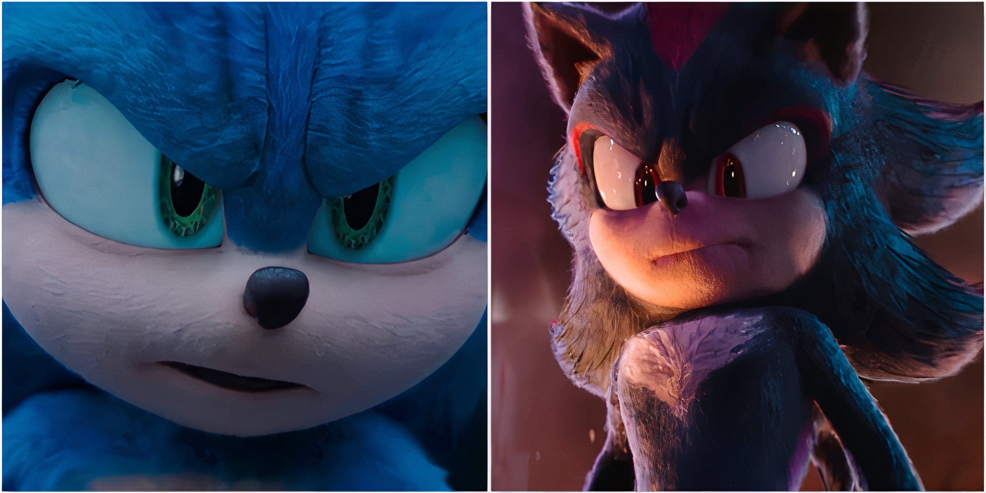 Sonic and Shadow in Sonic the Hedgehog 3