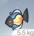 Inventory icon of a Lamp Fish in Infinity Nikki