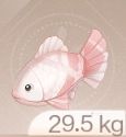 Inventory icon of a Handkerfin fish in Infinity Nikki