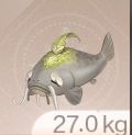 Inventory icon of a Whisker Fish in infinity Nikki