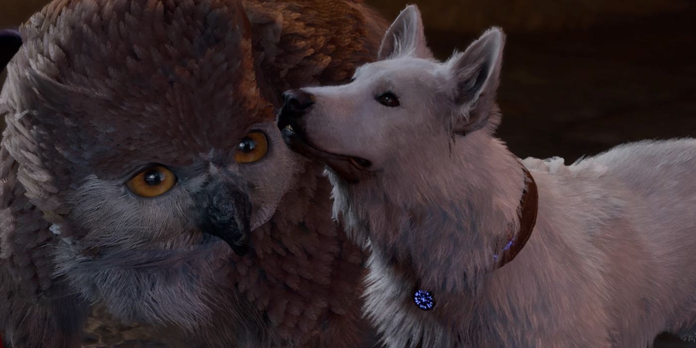 An image of Scratch the dog and the Owlbear Cub from Baldur's Gate 3