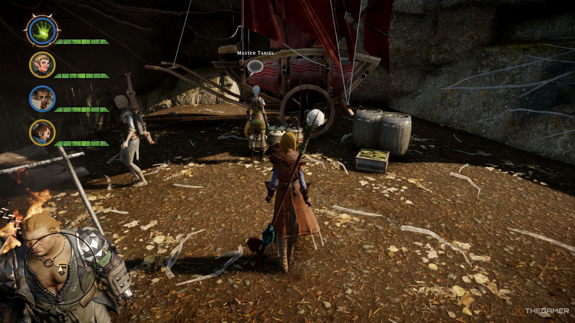 Dragon Age Inquisition screenshot of the Inquisitor at Master Taniel's stall.