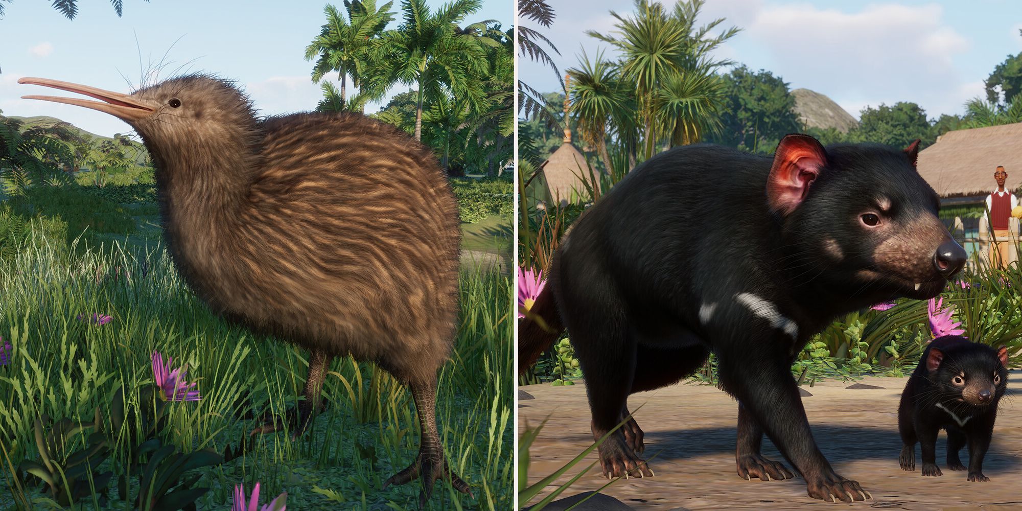 Planet Zoo Oceania Pack Kiwi and Tasmanian Devil side by side