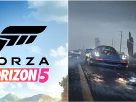 Forza Horizon 5: Different Edition Detailed