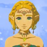 Tears of the Kingdom Fan Shows Off Zelda Cosplay