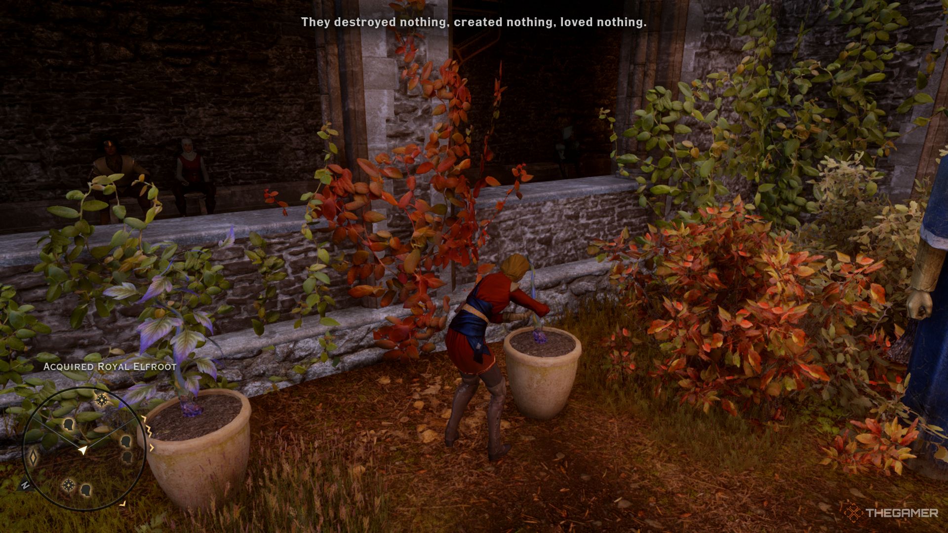 Dragon Age Inquisition screenshot of the Inquisitor harvesting a herb.