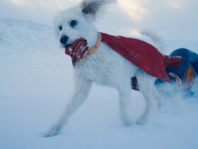 WBD Launches The Most Adorable Part of Superman Marketing Campaign Yet