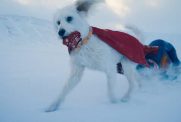 WBD Launches The Most Adorable Part of Superman Marketing Campaign Yet