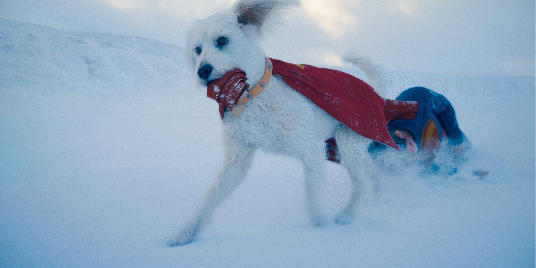 Krypto Superman DC James Gunn