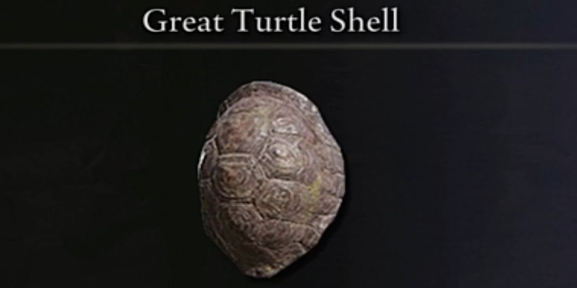 Image of the Great Turtle Shell from Elden RIng.