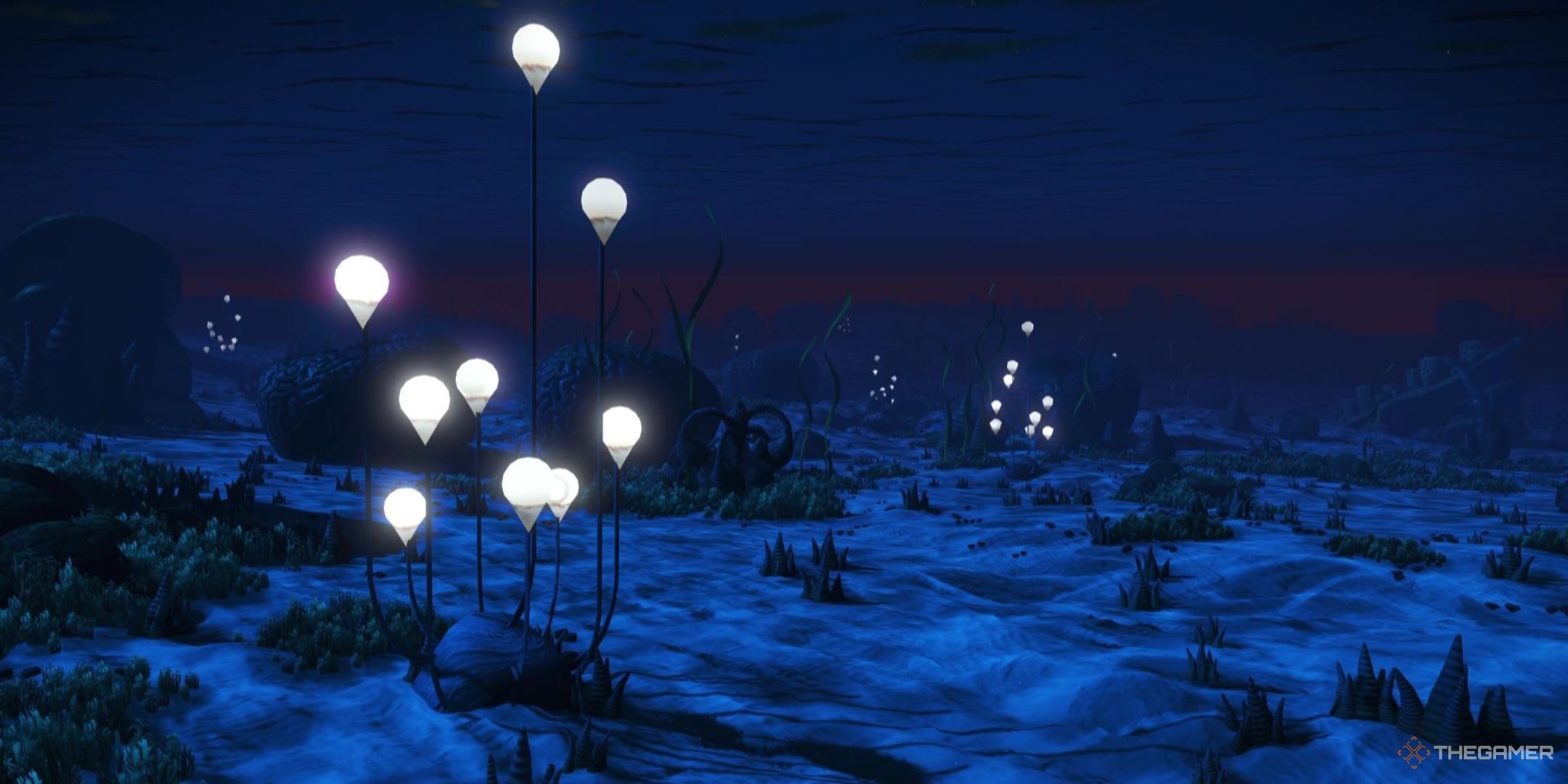 A cluster of light-producing plants drift in an underwater landscape of No Man's Sky.